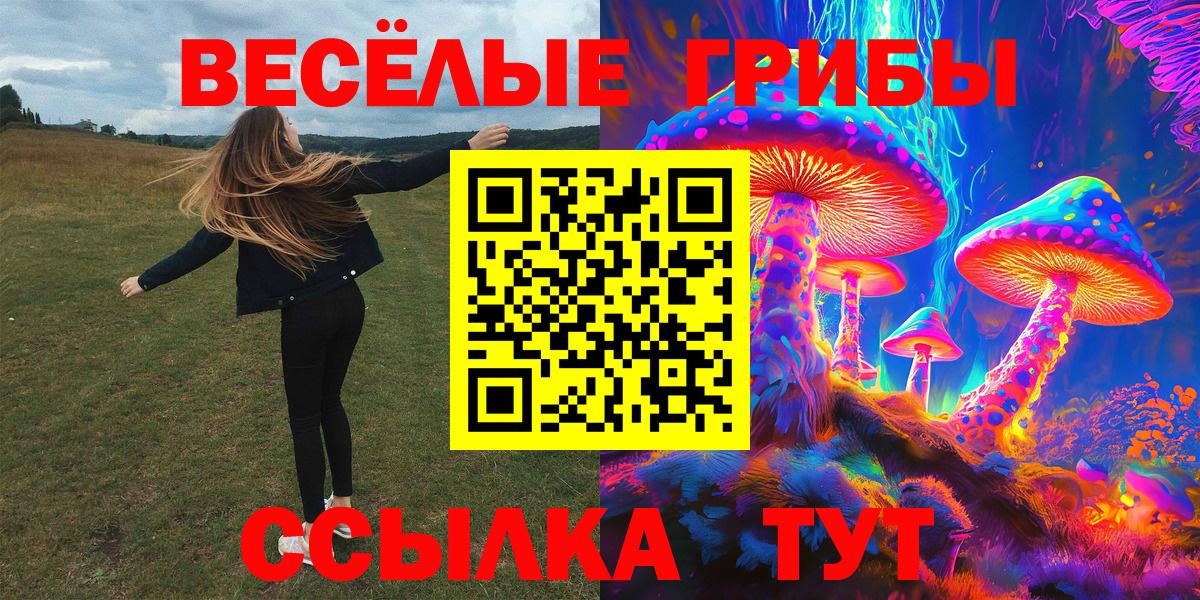 Псилоцибиновые грибы прущие грибы  Вход с VPN  даркнет сайт  Электросталь 
